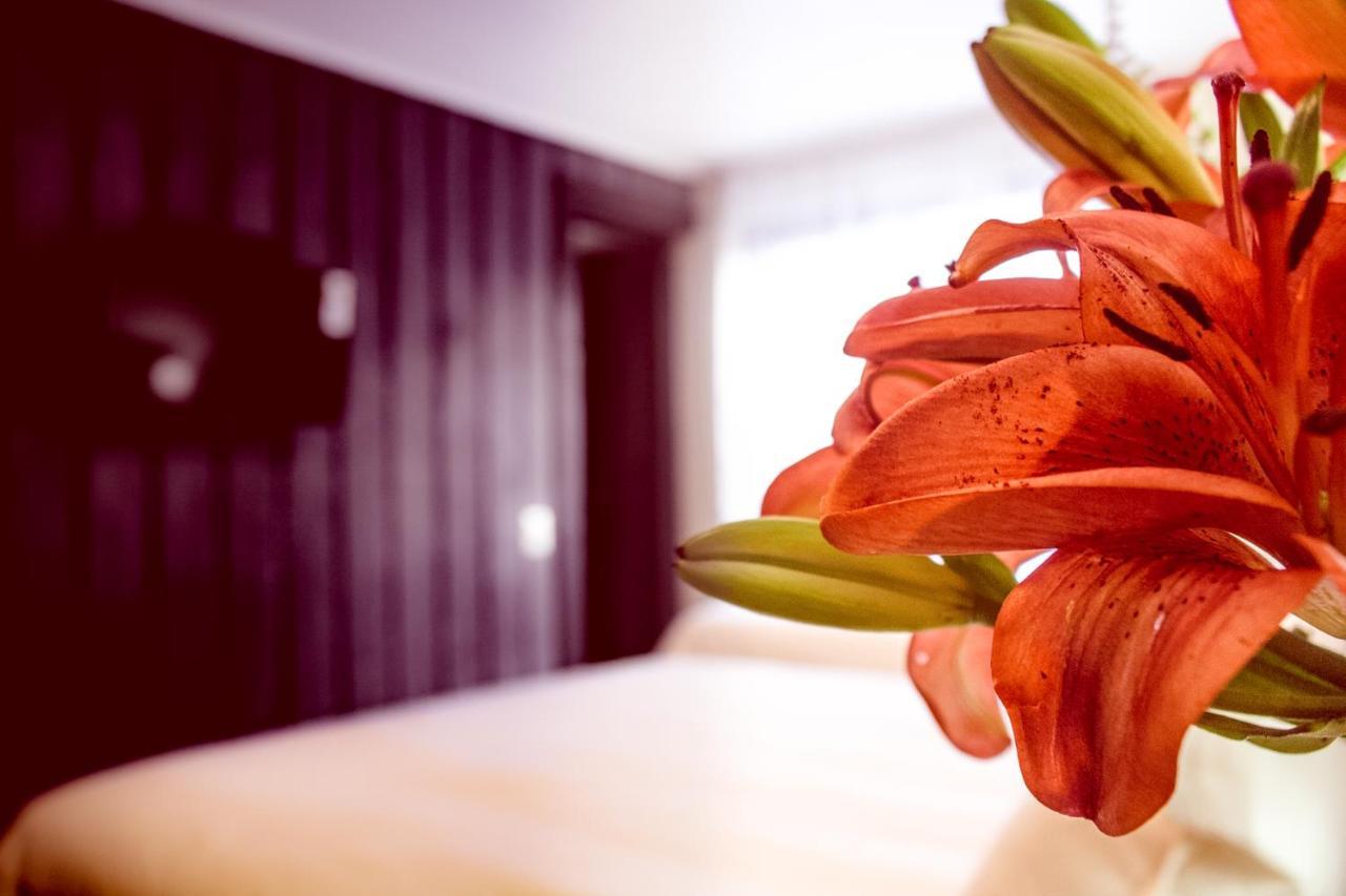 Newen B&B Pucón Kültér fotó