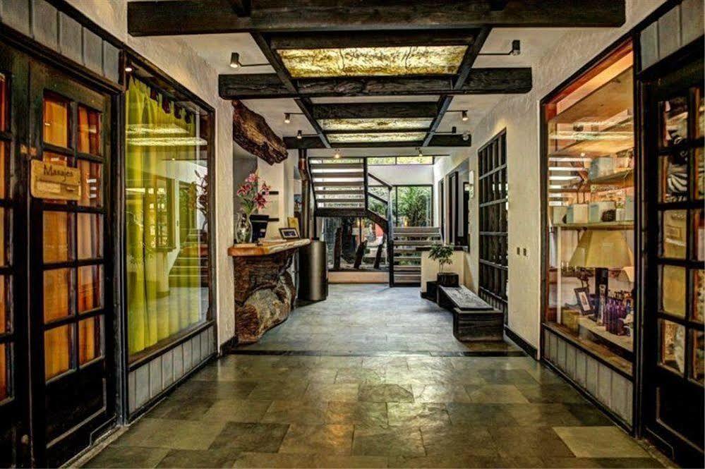 Newen B&B Pucón Kültér fotó